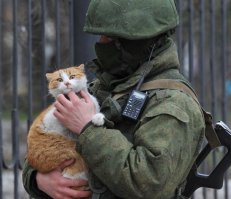 Военные и морские коты