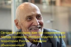 Отчаянные девушки, которые готовы на все ради любимого мужчины