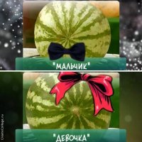 Как выбирать арбуз: 6 простых и верных признаков зрелости