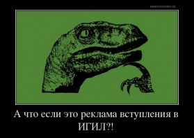 Парикмахеры из Ирака показали свои невероятные навыки 