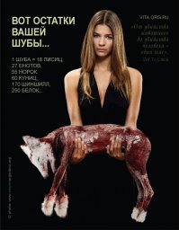 Я искренне не понимаю женщин, которые прям вот хотят себе меховых изделий в смысле шкурки дохлятины на себе носить типа имидж.
Неужели никак нильзя разработать синтетические меха.
Если это так, то запретить бы меха и кожу животных вообще. На планете полным полно душевнобольных татуированых имбицилов. Почему бы им не поработать на благо чьего-то имиджа?