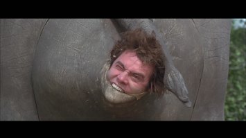 Он выяснил, что коровам нужна еще одна пара глаз на заднице, и открыл проект iCow