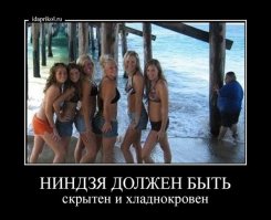 Это что же тогда за "отряд ниндзя", которые незаметно мимо казаков пробраться не могут без клоуна?