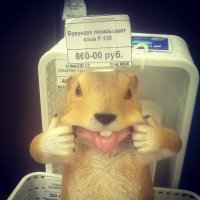 Только это не бурундук, а сурок, он же граундхог, он же вудчак.