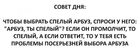 Как выбирать арбуз: 6 простых и верных признаков зрелости