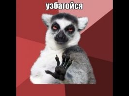 Немецкие учителя разрешили своим выпускникам пригласить стриптизершу
