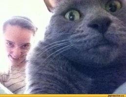 Всё внимание на задний план!