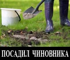 Нездоровые русские