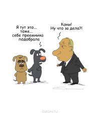 Американские выборы в карикатурах российских, израильских и европейских карикатуристов