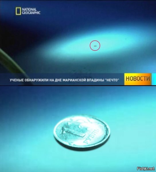 Океан: жуткая правда