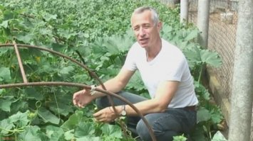 Точка Фэн-Фу и омоложение организма!