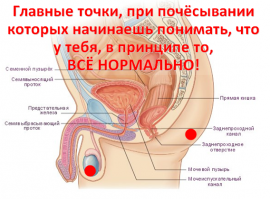 Точка Фэн-Фу и омоложение организма!