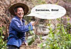 Чай который растопит все килограммы!