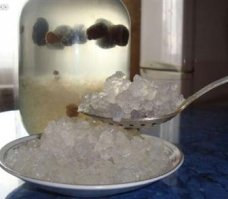 Да,полезная штучка. А у меня Тибетский морской рис. Очень полезно и очень вкусно. Добавлю чуть информации кому интересно.
риса Индийский морской рис, рисовый гриб, морской гриб, индийский гриб, китайский гриб, японский гриб, китайский морской гриб, индийский рис, живой рис – вот неполный список наименований одного и того же микроорганизма, который не одно столетие активно применяется в народной медицине для врачевания многих заболеваний. Хотя в народе как морской рис, так и его известных сородичей – тибетский молочный гриб и чайный гриб – принято относить к грибам, на самом деле они являются зооглеями – особыми слизистыми образованиями, которые возникают при склеивании некоторых видов бактерий, например, пленка, образующаяся при сбраживании вина, уксуса или пива. По сравнению с тибетским и чайным грибом, индийский морской рис считается самым древним и самым целебным, за что его величают «живым лекарством». Оглавление: Видео-инструктаж по уходу за «живым» напитком Индийский морской рис и его полезные свойства Приготовление и применение целебного напитка Как приготовить «живой» квас Правила употребления оздоравливающего средства 5 комментариев Видео-инструктаж по уходу за «живым» напитком По своему внешнему виду «хлопья» морского риса напоминают разваренные рисовые зернышки 2-5 ммв диаметре, прозрачные льдинки или «нечто вроде лягушачьей икры, только цвету белого». По-видимому, именно внешним сходством с рисом морской «гриб» и обязан своим названием. Правда, в отличие от обычного риса, морской рис не едят, а пьют в виде напитка, который напоминает по вкусу слегка газированный квас. Интересно, что в зависимости от того, чем «кормят гриб», квас может приобретать различные оттенки вкуса. к оглавлению ↑ Индийский морской рис и его полезные свойства Настой морского риса своим ощутимым терапевтическим эффектом обязан содержанию огромного количества полезных и незаменимых для организма веществ. В результате брожения «рисовый» настой приобретает сложный химический состав с уникальным комплексом полезных соединений: глюкуроновая, п-кумаровая и хлорогеновая кислоты, несколько видов дрожжеподобных микроорганизмов и грибков, витамины С и D, дубильные вещества, ускоряющие и стимулирующие течение биохимических реакций в организме ферменты (липаза, амилаза, протеаза), коэнзим Q10 (мощный антиоксидант), полисахариды, альдегиды, глюкозиды, алкалоиды, несколько видов уксуснокислых бактерий, жироподобные вещества, органические кислоты. Это одновременно и «живой» продукт, и лекарство, лечебные свойства которого подтверждены многочисленными научными исследованиями. Индийский морской рис выводит из организма яды и токсины, нормализует обмен веществ и восстанавливает работу внутренних органов. Регулярный прием настоя индийского риса способствует выведению из организма солей и шлаков, а также песка и камней из желчного пузыря и почек. Нормализует артериальное давление. Замедляет развитие онкологических заболеваний. Укрепляет сердечную мышцу. Укрепляет и восстанавливает нервную систему. За счет комплексного внешнего и внутреннего применения благотворно влияет на организм при артрите, радикулите и ревматизме. При воспалительных заболеваниях дыхательных путей может заменять антибиотики. Очищает слизистую оболочку ЖКТ и нормализует кислотность желудка. Снимает усталость, улучшает самочувствие и настроение, повышает выносливость и работоспособность. Является прекрасным природным средством для снижения веса, поскольку содержит ферменты, способствующие активному расщеплению и выведению жиров из организма. Живой рис не только повышает общий тонус организма, но и улучшает половые функции у мужчин, и у женщин. Настой морского риса – превосходное натуральное средство для ухода за кожей и волосами. Он прекрасно тонизирует и освежает кожу, способствует разглаживанию мелких морщинок, обладает легким подтягивающим действием, одновременно оказывает косметический и лечебный эффект. Настой индийского риса очень деликатно и мягко очищает кожу, восстанавливая ее естественный кислотно-щелочной баланс. Ополаскивание волос настоем морского риса укрепляет их и возвращает им естественный здоровый блеск.