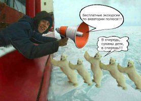 Взволнованный медведь 