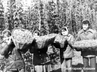 у нас вот так было 
что выращивается отправляется на запад, а для собственных нужд закупается в китае((