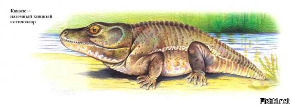 Бездоказательная хрень. 

Как видим котилозавры - крокодилы. Мы от крокодилов произошли?