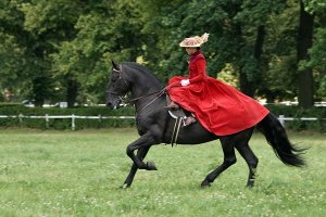 а вы ПОСМОТРИТЕ на эту посадку. Я прекрасно знаю,что можно сидеть БОКОМ. Но данная дама не сидит на коне,её силует тупо приклеен к нарисованной лошади, а её моделька даже не сидит. Вы хотя бы свой собственный зад усадите на стул и посмотрите,как это выглядит. Я уж молчу про лошадь.