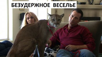 Кого заводят люди, которым надоели обычные домашние питомцы