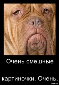 Когда что-то пошло не так 