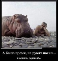 Смешные комментарии 