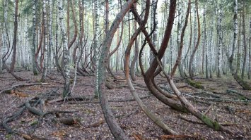 А это у нас под Рязанью, далеко ехать не надо.