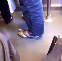 Обрежь, сука, и накрась!!!