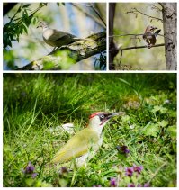 Конечно, у него качество хуже быть не должно - на плёнке по-любому качество на выходе будет уступать зеркалке. 
Вам фильтры не мешают, а мне мешают. Потому что я знаю, что за фильтрами прячут "бяки" - освещение плохое, шевелёнку, отсутствие резкости и много чего другого. А ещё потому, что сегодня всё (от слова СОВСЕМ) в этих фильтрах - просто надоело.

Я тоже люблю природу и много фотографирую, но от этого я не стану фотографом (хобби, не больше).