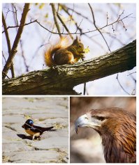 Конечно, у него качество хуже быть не должно - на плёнке по-любому качество на выходе будет уступать зеркалке. 
Вам фильтры не мешают, а мне мешают. Потому что я знаю, что за фильтрами прячут "бяки" - освещение плохое, шевелёнку, отсутствие резкости и много чего другого. А ещё потому, что сегодня всё (от слова СОВСЕМ) в этих фильтрах - просто надоело.

Я тоже люблю природу и много фотографирую, но от этого я не стану фотографом (хобби, не больше).