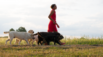 каждый вечер