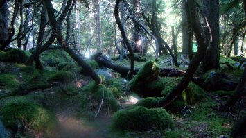 на Кавказе тоже такой есть, и даже загадочнее, заросший...