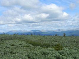 вид на Главный Уральский Хребет с хребта Кваркуш