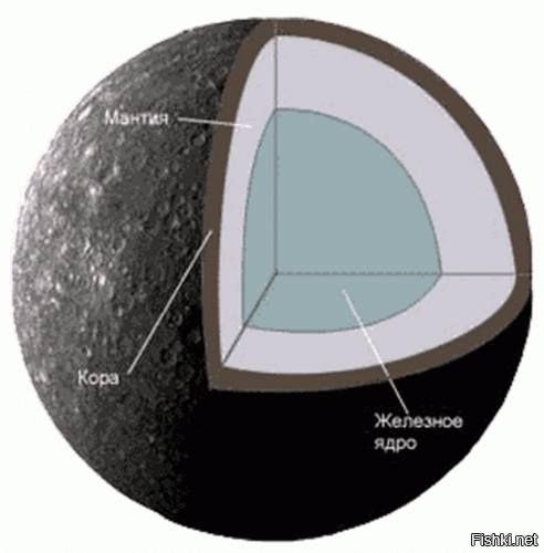 У них есть железное ядро. Особенно у Меркурия. Жидкое железно-никелевое ядро Меркурия составляет около 3/4 его диаметра, что примерно равно размеру Луны. Оно очень массивное по сравнению с ядром других планет. Ядро Марса частично жидкое и состоит в основном из железа с примесью 14—18 % (по массе) серы.
Незачет!!