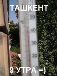 Ташкент.