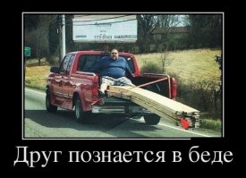 Толстый друг познается в беде)))
