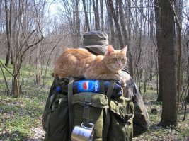 Вот мой.