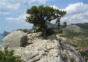 Крым,красотищаааа!!!