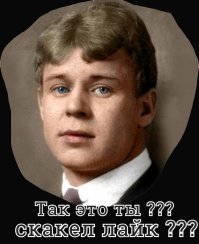 Лекарственные растения России