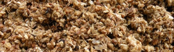 Даже побочные продукты производства пива могут приносить пользу. Большая часть отходов, оставшаяся от процесса пивоварения.

От пива остаётся распаренный солод(дробина)
Вот такое и автор что предлагает ЭТО есть?