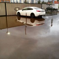 Жду когда к.л. умник скажет "на коленях"...