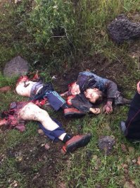 Обычно люди столкнувшиеся с медведем не любят говорить или не могут. Даже летом мишка может быть очень недобрым и шутки с ним заканчиваются так: