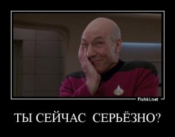 Дебила кусок