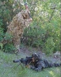 Шедевр камуфляжа 