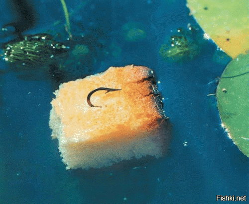 Я, например, в середине прошлого века ловил на это... А вообще-то, пока канал Северо-Крымский не перекрыли рыбы в каждой луже было как грязи, со всего Крыма к нам за Карпом приезжали, а теперь вода везде соленая, из Каркиницкого залива медузы и кефаль заходит.. так-то