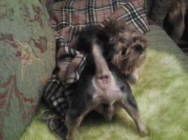 А вот вам здрасьте!