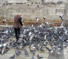 как ловят покемонов))