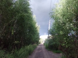 Наша дача лучше любого курорта!