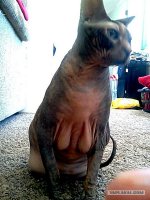 Сам напросился. Трогай!