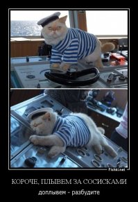 Атомный кот