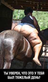 Смешные и пошлые картинки 